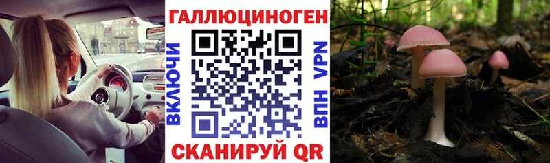 blacksprut как зайти Ивдель Галлюциногенные грибы Cubensis